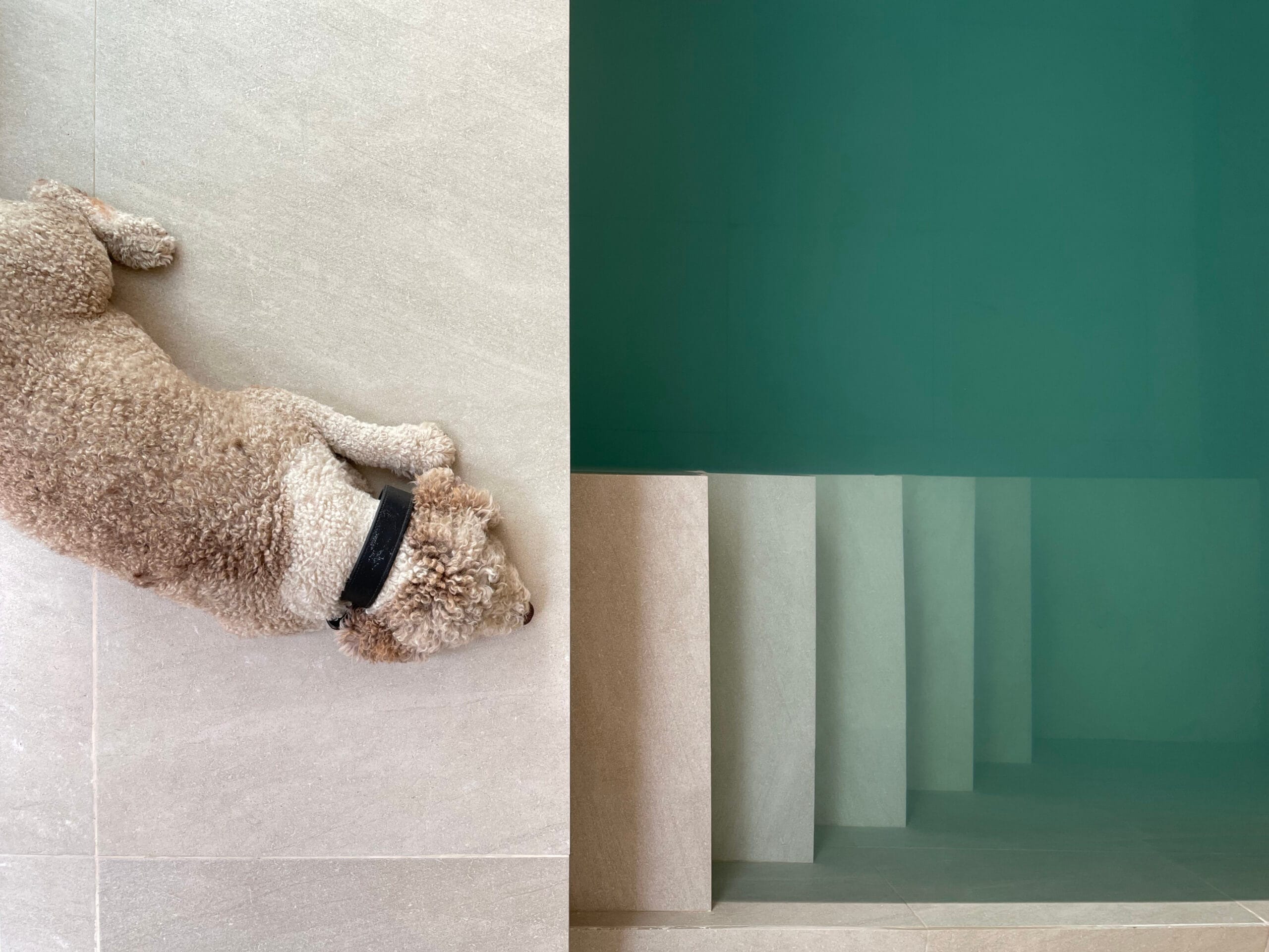 Casa Rolia — Arquitectura · interiorismo